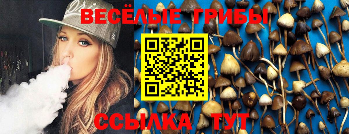 Псилоцибиновые грибы Psilocybine cubensis Борзя